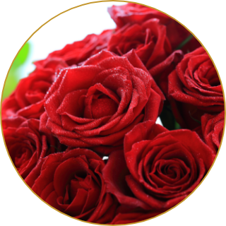 誕生日のお祝い