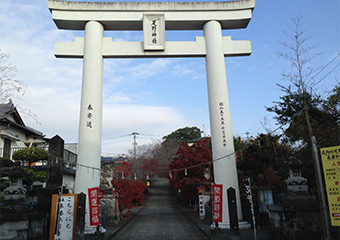 疋野神社