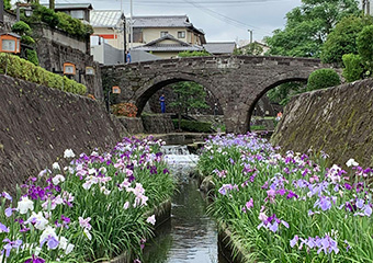 高瀬眼鏡橋(高瀬蔵、菖蒲花)